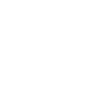 instagram-glyph-seeklogo 1